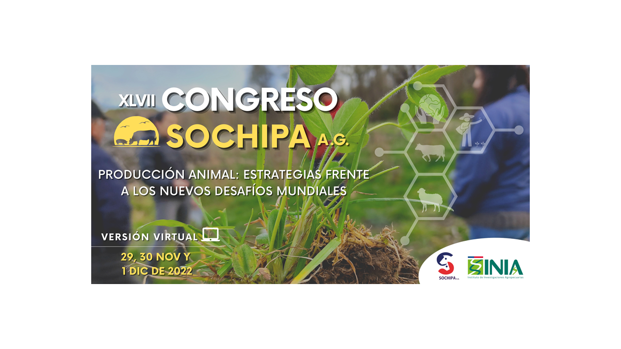 XLVII Congreso Anual SOCHIPA 2022